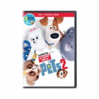 Secret Life of Pets 2 Perspective: Main