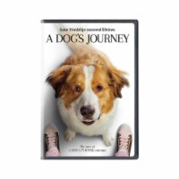 A Dog's Journey (2019 - DVD) Perspective: Main