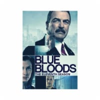Blue Bloods Season 11 (2021-DVD) Perspective: Main
