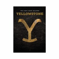 Yellowstone - Seasons 1-4 (DVD) Perspective: Main
