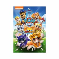 Paw Patrol: Cat Pack Rescues (2022 - DVD) Perspective: Main