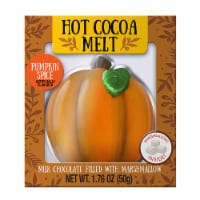 Treat Street 37051 Fall Harvest Pumpkin Hot Cocoa Bomb Perspective: Main