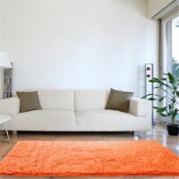 Lavish Home 67-13-PE 30 x 60 in. High Pile Shag Rug, Peach