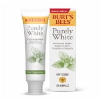Burt's Bees® Zen Peppermint Purely White Flouride-Free Toothpaste