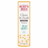 Burt's Bees Mint Medley Clean & Fresh Flouride Toothpaste Perspective: Main
