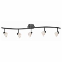 5 Light 120V Metal Track Light Fixture with Glass Shade, Black and White- Saltoro Sherpi