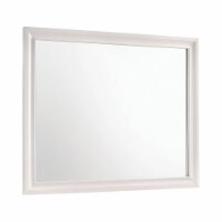 Rectangular Wooden Mirror with Molded Trim Details, White