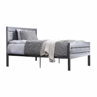 Queen Bed with Metal Recessed Panel Headboard and Footboard, Silver- Saltoro Sherpi