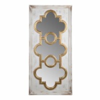 58 Inch Decorative Accent Mirror, Gold Ornate Trim over White Fir Wood- Saltoro Sherpi