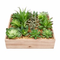 Faux Succulents Assorted Lifelike Plastic Greenery Arrangement with 10 Inch Decorative