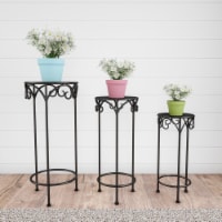 Plant Stands Set of 3 Indoor or Outdoor Nesting Wrought Iron Metal Round Decorative Potted