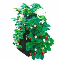 Gardens Alive! Strawberry Tower Grow Tub