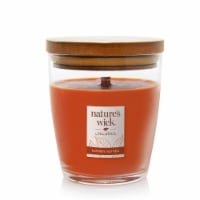 WoodWick® Nature's Wick Pumpkin Nutmeg Jar Candle