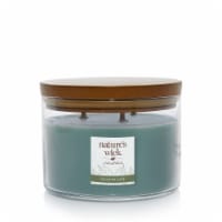 WoodWick® Nature's Wick 3-Wick Succulent Jade Scented Large Jar Candle Perspective: Main