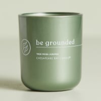 Chesapeake Bay® Candle Be Grounded (Tree Moss Juniper) Jar Candle Perspective: Main