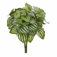 14-in Watermelon Peperomia Plant (Set of 6) (Real Touch)