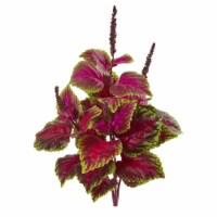 23-in Coleus Bush Artificial Plant (Set of 6)