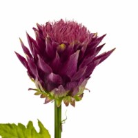 33-in Tropical Artificial Flower (Set of 6)