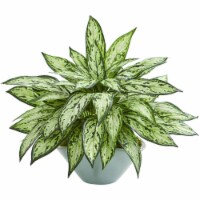 Nearly Natural 8367 Silver Queen Artificial Plant in Green Vase