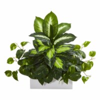 21-in Golden Dieffenbachia & Pothos Artificial Plant