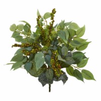 14-in Mixed Ficus, Fittonia and Berries Bush (Set of 6)