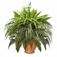 23-in Mixed Greens and Fern Plant in Terra Cotta Planter