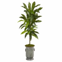 Nearly Natural P1327 4 in. Dracaena Artificial Plant in Vintage Metal Planter - Real Touch
