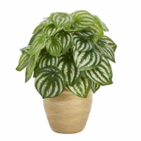 11-in Watermelon Peperomia Plant in Planter (Real Touch)