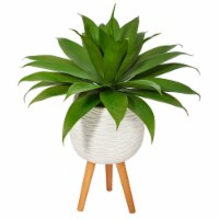 33-in Agave Succulent Plant in White Planter with Stand