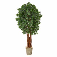 6-ft Lychee Artificial Tree in Country White Planter