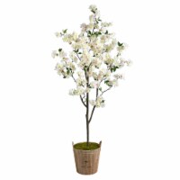 6-in Cherry Blossom Tree in Farmhouse Planter