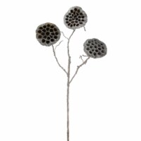 Select Artificials 36.5 Silver and Brown Frosted Lotus Pod Christmas Spray