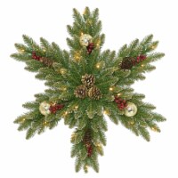 National Tree Company 32 Pre-Lit Glittery Gold Dunhill Fir Snowflake Wreath
