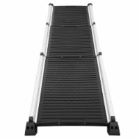 Pet deals trex ramp