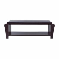 Furniture of America Allium Wood Coffee Table with Magazine Rack in Cappuccino