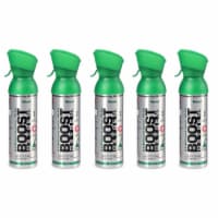 Boost Oxygen Natural Portable 5 Liter Pure Oxygen Canister, Flavorless (5 Pack)