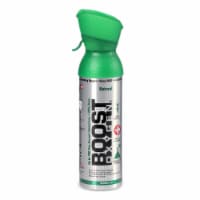 Boost Oxygen Natural Portable 5 Liter Pure Oxygen Canister, Flavorless (24 Pack)