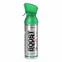 Boost Oxygen Natural Portable 5 Liter Pure Oxygen Canister, Flavorless (24 Pack)
