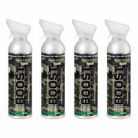 Boost Oxygen Natural Portable 10 L Pure Canned Oxygen Canister, Camo (4 Pack)