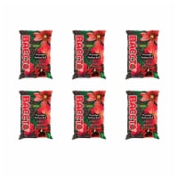 Michigan Peat Baccto All Purpose Potting Soil with Perlite, 25 lbs (6 Pack)