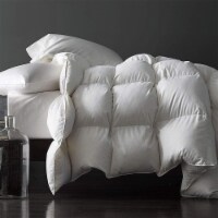 Royoliving Premium Heavyweight Cotton Silver Down Winter Comforter - White