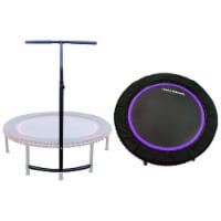 The leaps & rebounds fitness trampoline online