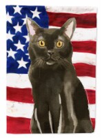 Carolines Treasures CK3032GF Bombay American Flag Garden Flag