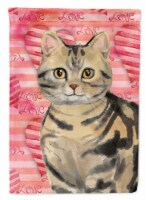 Carolines Treasures CK3043GF American Shorthair Brown Tabby Cat Love Garden Fla