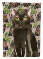 Carolines Treasures CK3092GF Bombay Pine Cones Garden Flag, Brown