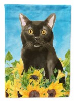 Carolines Treasures CK3152GF Bombay in Sunflowers Garden Flag