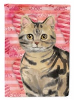 Carolines Treasures CK3043CHF American Shorthair Brown Tabby Cat Love House Fla