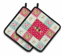 Carolines Treasures CK5467PTHD Clown Loach Fish Love Pair of Pot Holders, Red