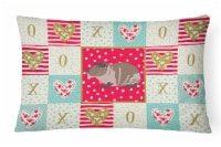 Carolines Treasures  CK5435PW1216 Skinny Guinea Pig Love Canvas Fabric Decorativ