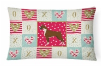 Carolines Treasures  CK5916PW1216 Boxer Love Canvas Fabric Decorative Pillow